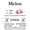 Concentré Melon 10ml de Esava